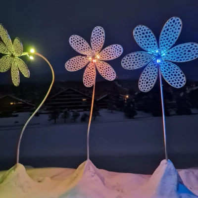 Photo de nos marguerites lumineuses tricolore installées sous la neige