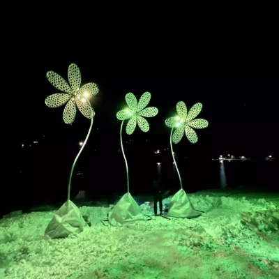 Photo des 3 marguerites lumineuses installées sous la neige avec une couleur verte