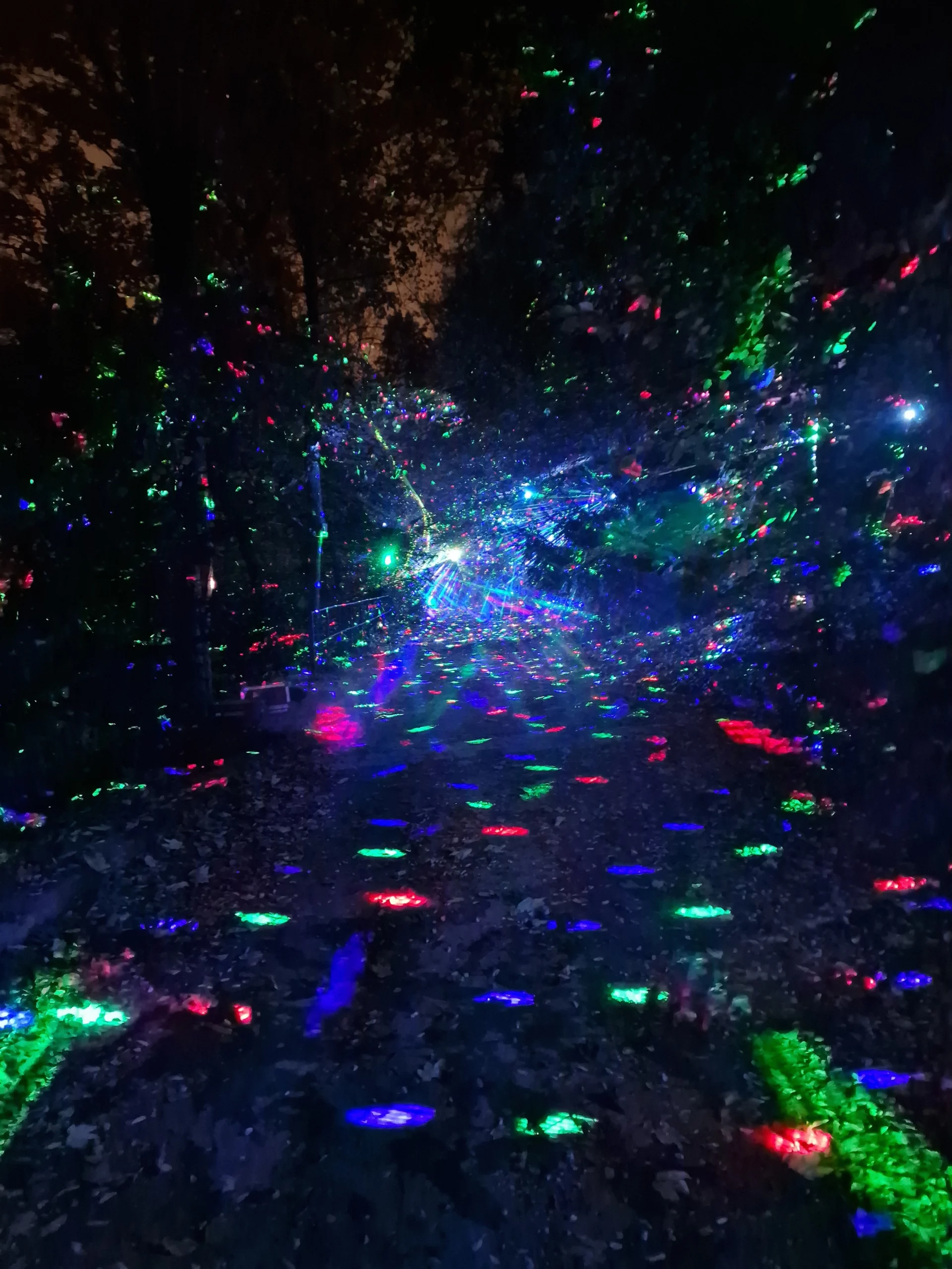 Lors de l'évènement Lumières en Seine, notre installation Laserworld à fait sa première apparition